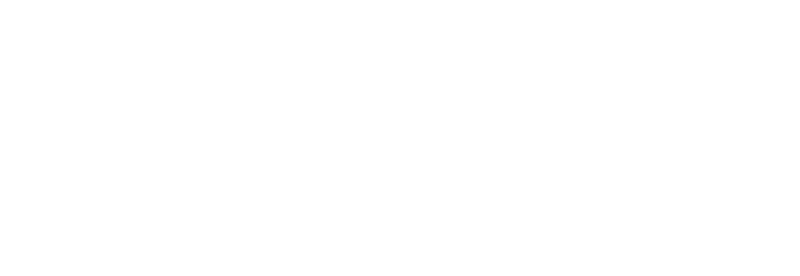 eCarga Logo